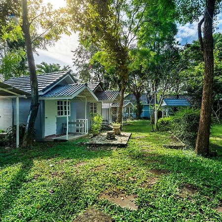 Ivy Cottage By Qiu Muak Lek Dış mekan fotoğraf